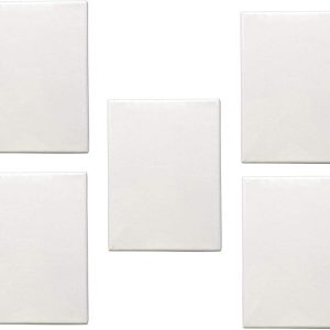 5 Pack Blank Artists Paint Canvas Boards 30x40cm (12" x 16") - Canvas for Painting - Canvases for Professional Artist - 100% Cotton
